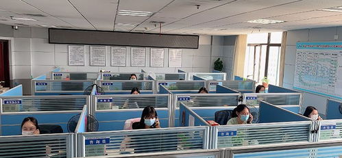 湖北12333全国统一咨询日暨世界青年技能日活动线上启动——为青年技能人才提供“零距离”技术咨询